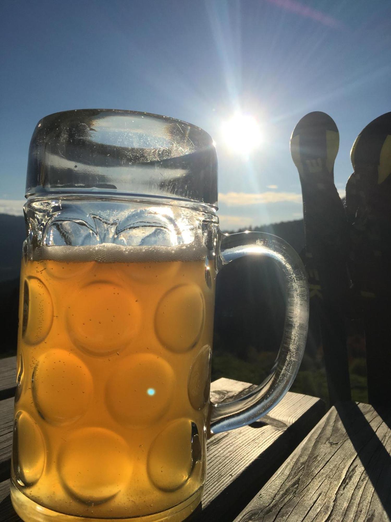 Ferienhaus Willms Am Gaisberg 蒂罗尔-基希贝格 外观 照片